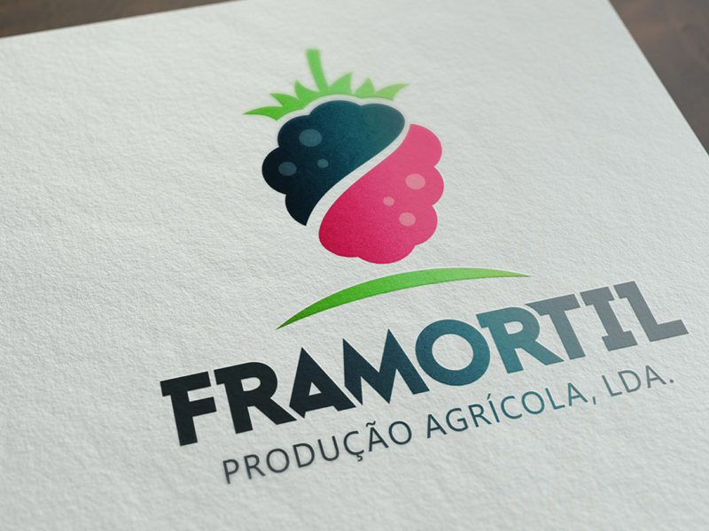 Mock ups Framortil Logo